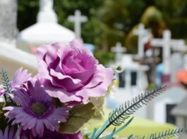 Cimitero fiori
