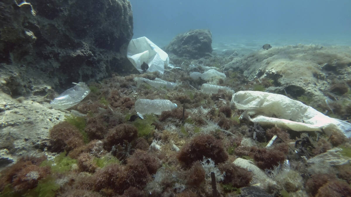 Inquinamento fondale