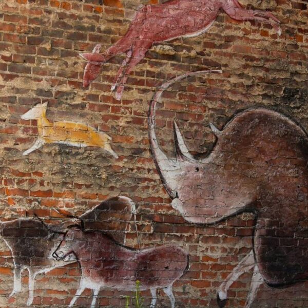 Neanderthal, nuove scoperte sul loro menù alimentare e…