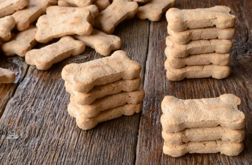 Biscotti per cani in friggitrice ad aria