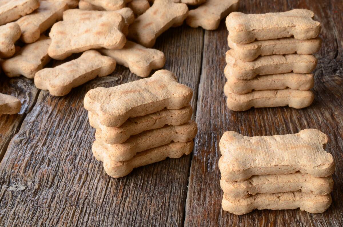 Biscotti per cani in friggitrice ad aria