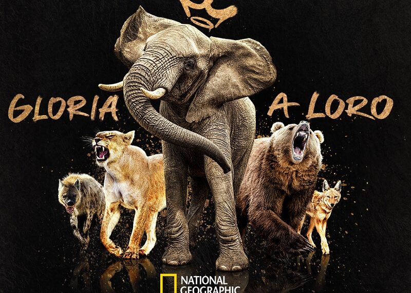 Queens: Le Regine della Natura