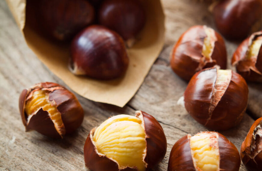 Castagne friggitrice ad aria