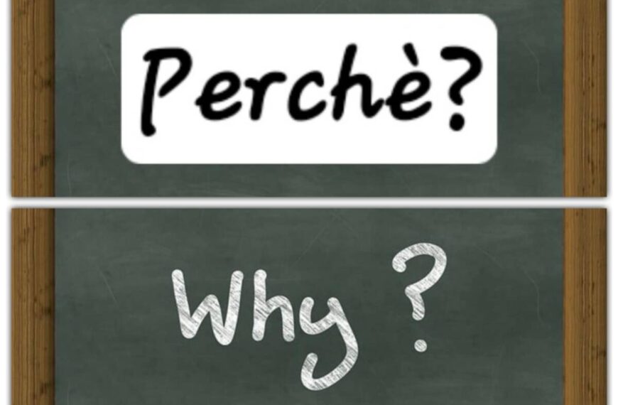 Vi presentiamo la rubrica “i perché di April e Frank'”