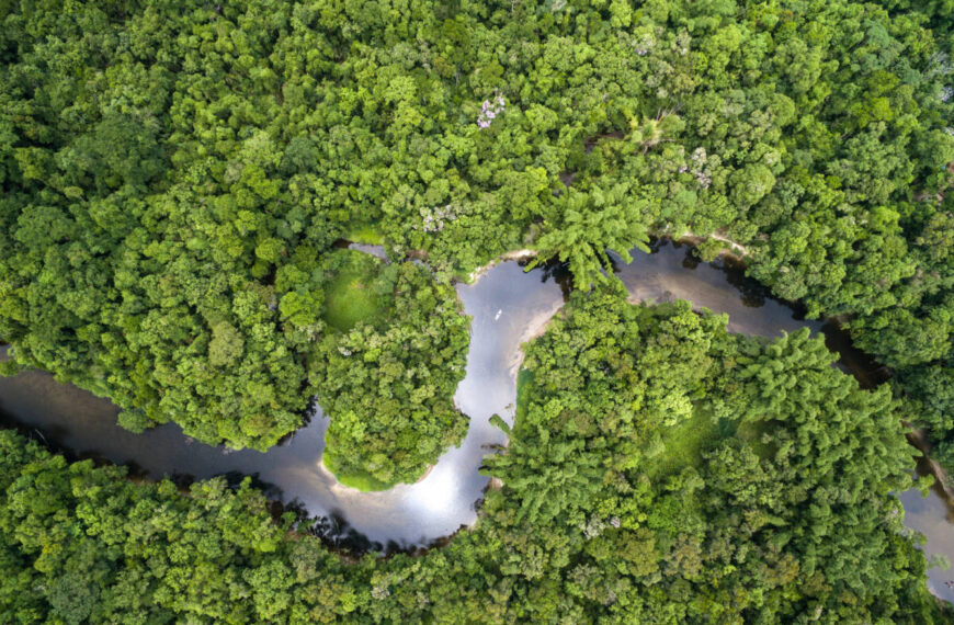 Amazzonia