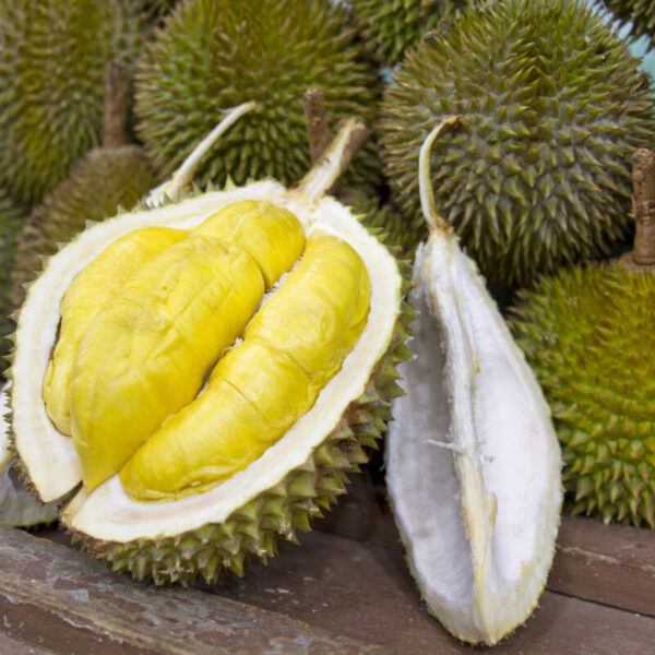 Durian
