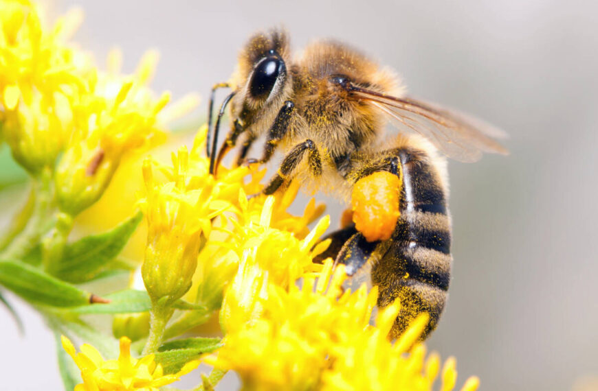 Depositphotos_Depositphotos