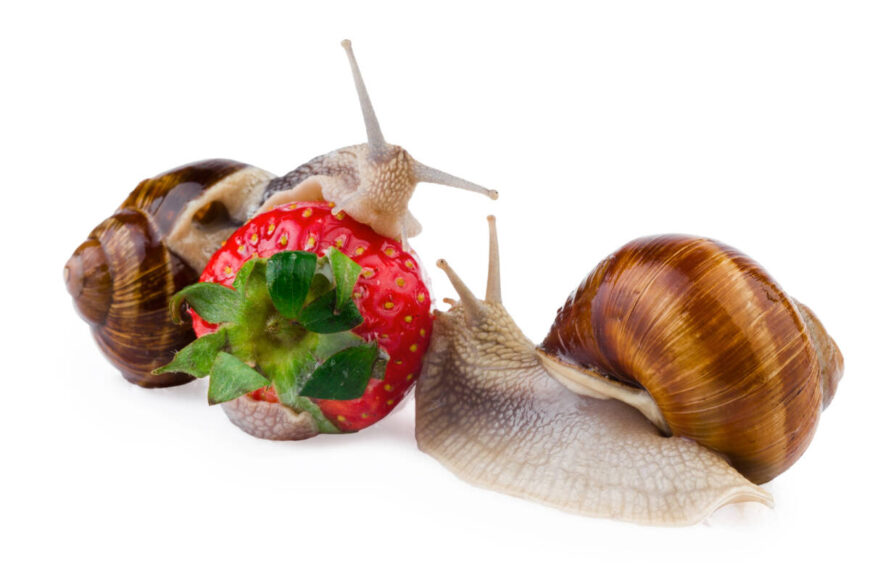 Depositphotos_Depositphotos