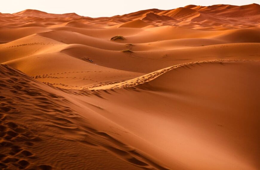 Deserto