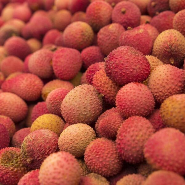 Litchi