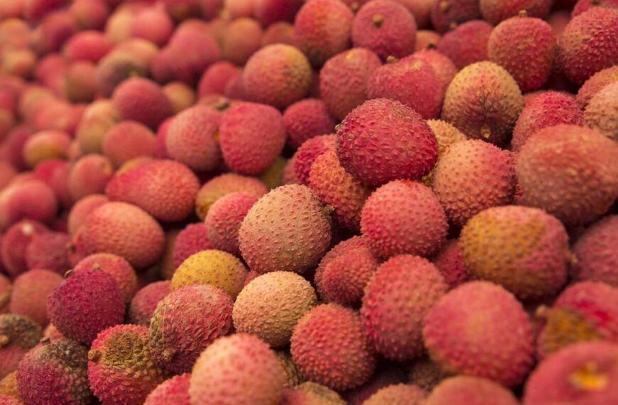 Litchi